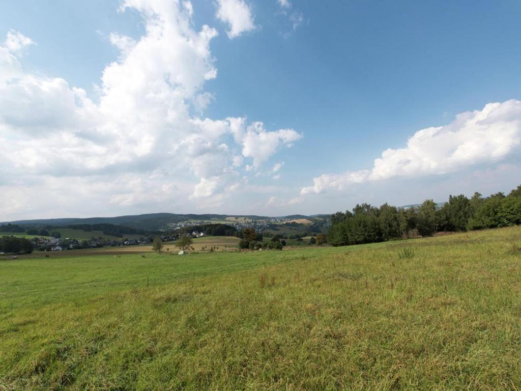 Apartment Ripa Erzgebirge In Schwarzenberg